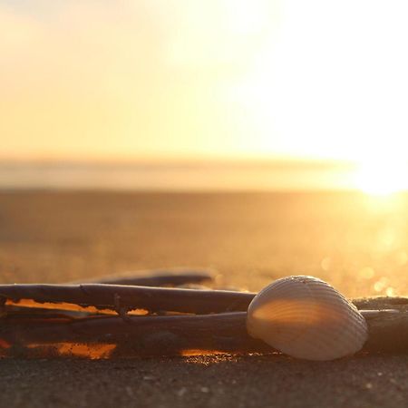 Hofje Van Maas Zandvoort Luaran gambar