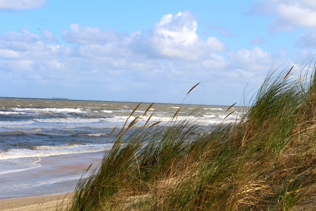 Hofje Van Maas Zandvoort Luaran gambar